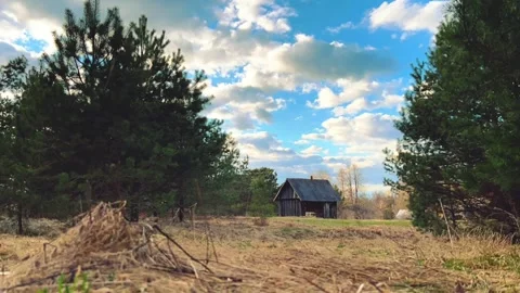 Rustic Wooden Shack in Pine Forest Under Blue Cloudy Sky 스톡 동영상 334116166