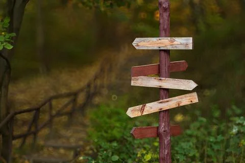 A rustic wooden signpost with multiple directional arrows in a forest setti.. Stock Photos