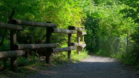 Rustic wooden split rail fence along gravel hiking trail in green park forest Stock Footage 342080527
