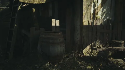 Rustic wooden structure with a barrel and overgrown vegetation during daylight Stock Footage 331421666