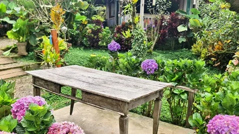 Rustic Wooden Table in Beautiful Flower Garden with Traditional Javanese House Stock Footage 334022425
