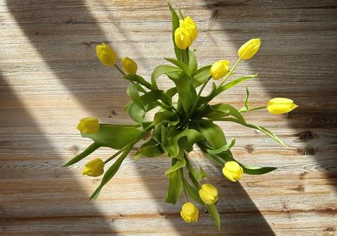 . on a rustic wooden table. Foto stock