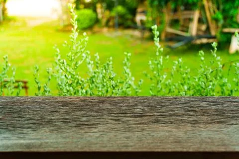 Rustic wooden table top with blurred tropical green garden sunny background Stock Photos