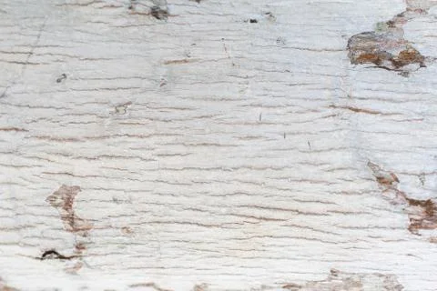 Rustic wooden texture, empty Soft wood background Stock Photos