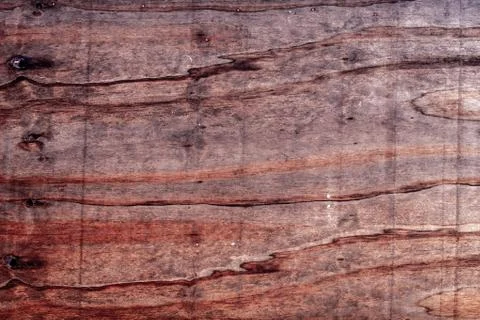 Rustic wooden texture, empty Soft wood background Foto stock