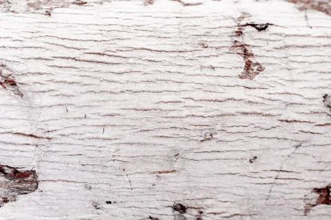 Rustic wooden texture, empty Soft wood background Foto stock