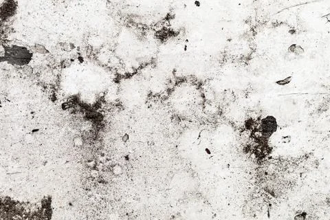 Rustic wooden texture, empty Soft wood background Stock Photos