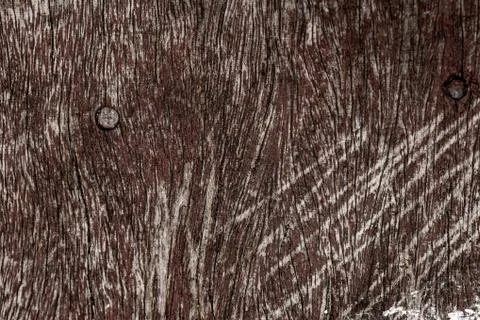 Rustic wooden texture, empty Soft wood background Stock Photos