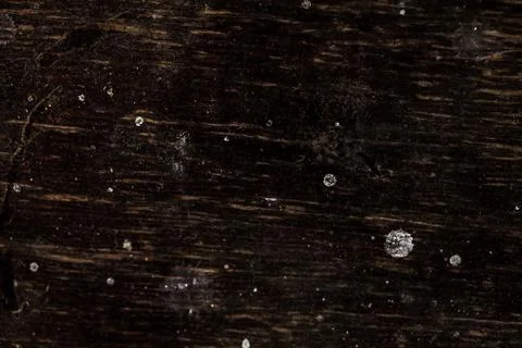 Rustic wooden texture, empty Soft wood background Foto stock