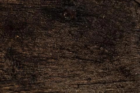 Rustic wooden texture, empty Soft wood background Foto stock