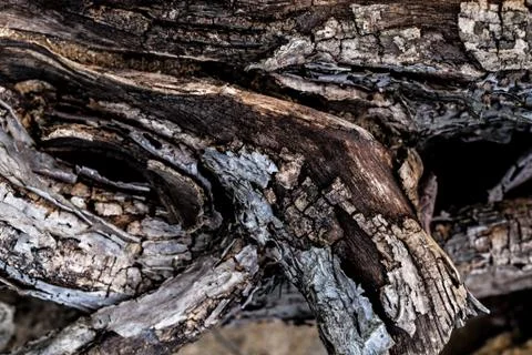 Rustic wooden texture, empty Soft wood background Stock Photos