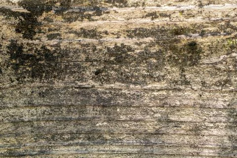 Rustic wooden texture, empty Soft wood background Stock Photos