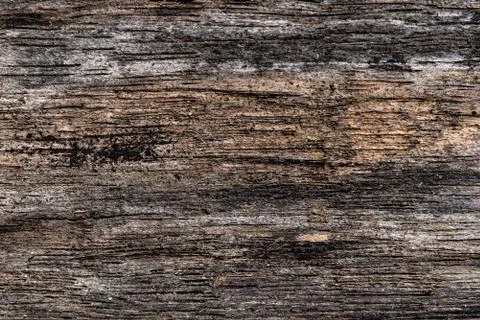 Rustic wooden texture, empty Soft wood background Stock Photos