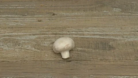 Rustic Wooden Texture Perfect for Various Design Projects and Creative Endeavors Stockbeeldmateriaal 282871280