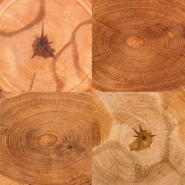 Rustic wooden texture Stock Photos