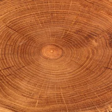 Rustic wooden texture Stock Photos