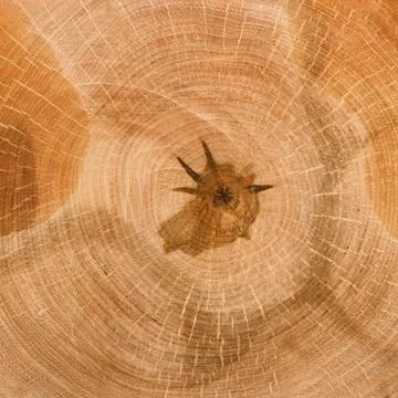 Rustic wooden texture Stock Photos