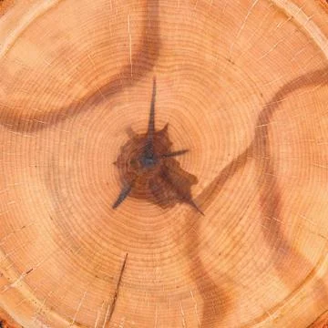 Rustic wooden texture Stock Photos