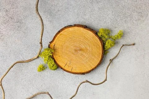 Rustic Wooden Tree Ring with Moss and Branches on Concrete Background for N.. Stock-Fotos