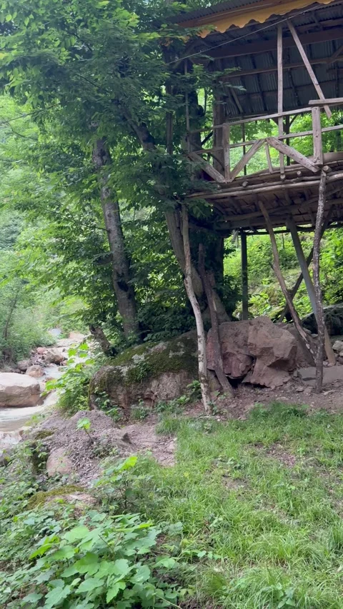 Rustic wooden treehouse by a mountain river, panning shot from right to left, Vídeos de archivo 336848989