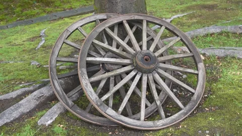 Rustic wooden wagon wheels leaning against tree in mossy garden 스톡 동영상 346342271