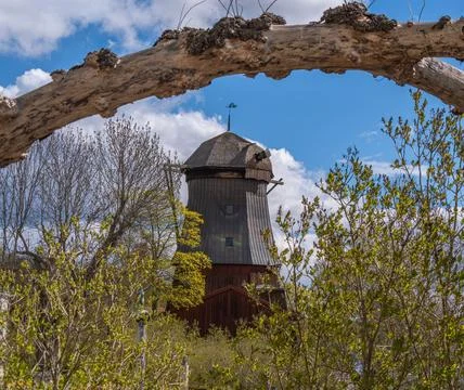 Rustic wooden windmill framed by fallen tree branch Stock Photos