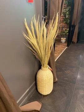 Rustic woven vase with tall grass placed near fitting room curtains and dark  Stock Photos