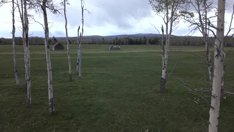 Rustic Wyoming Barn Surrounded by Aspen Trees Drone Shot 4K Video stock 335668444