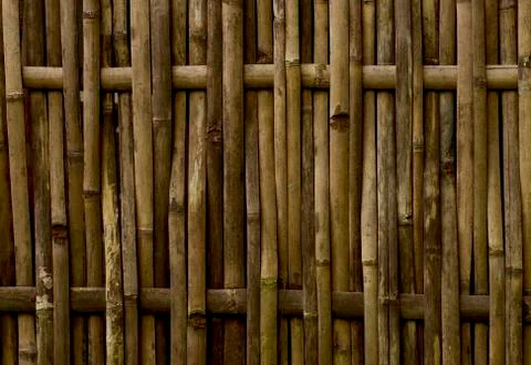 Rustic yellow bamboo fence Stock Photos