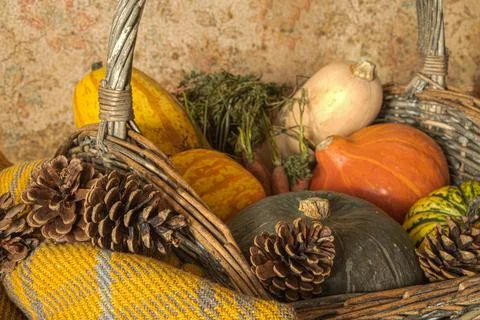 Rustick  pumpkins  on wooden  table Foto stock