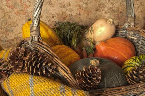 Rustick  pumpkins  on wooden  table Stock Photos
