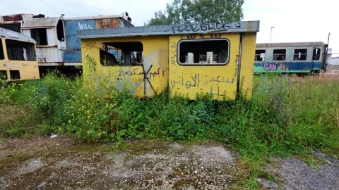 Rusting Graffiti Covered Trains In An Overgrown Rail Yard Stock Footage 305878557