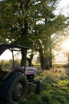A rusting old tractor standing in a field on a summers evening. Stock Photos