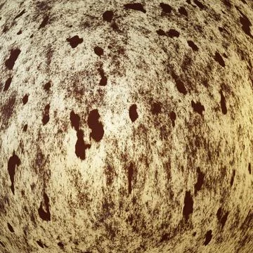 Rusting Texture - Aged, Weathered, Industrial Decay Stock Illustration