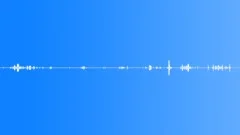 Rustling Keys Sound Effect