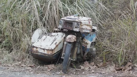 Rusty Abandoned Motorcycle with Sidecar Overgrown by Tall Grass Vídeos de archivo 335462180