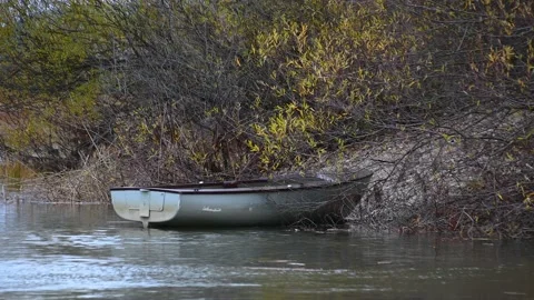 Rusty abandoned small boat on the shore Stock Footage 167692985