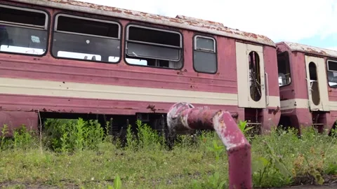 A rusty abandoned train in an overgrown area. Life after the apocalypse or Stock Footage 309011589