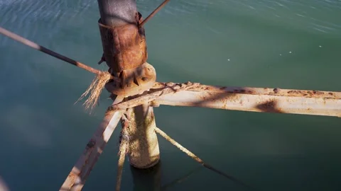 Rusty and algae covered foundation of industrial metal structure in water Stock Footage 277207648