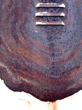 A rusty but attractive old electrical box Stock Photos