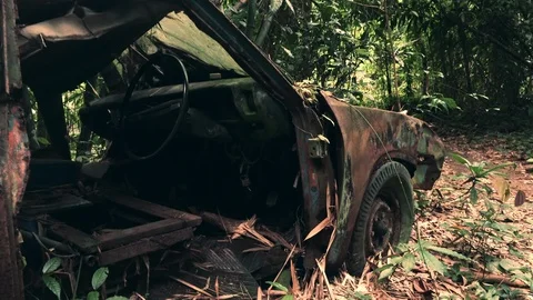 Rusty automobile surrounded by dense green thicket of tropical jungle Video stock 94230470