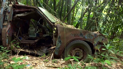 Rusty automobile surrounded by dense green thicket of tropical jungle Video stock 94302675