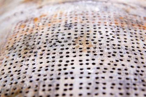 Rusty background, hd rusty wallpaper Stockfoto's