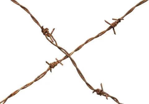 Rusty barb wire Stock Photos