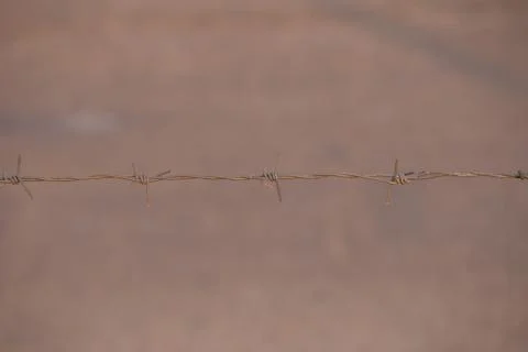 Rusty barb wire Stock Photos