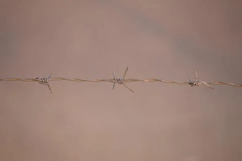 Rusty barb wire Stock Photos