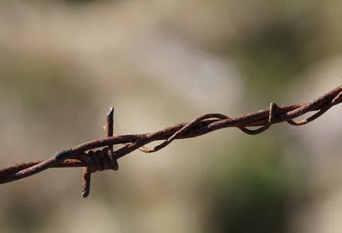 Rusty barbed Stock Photos