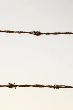 Rusty barbed wire against dull sky Stock Photos