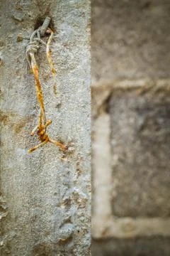 Rusty barbed wire and broken plaster Stock Photos