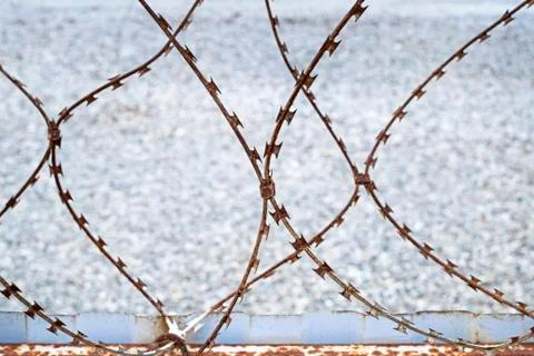 Rusty barbed wire on the background of the fence and sea pebbles Stock Photos